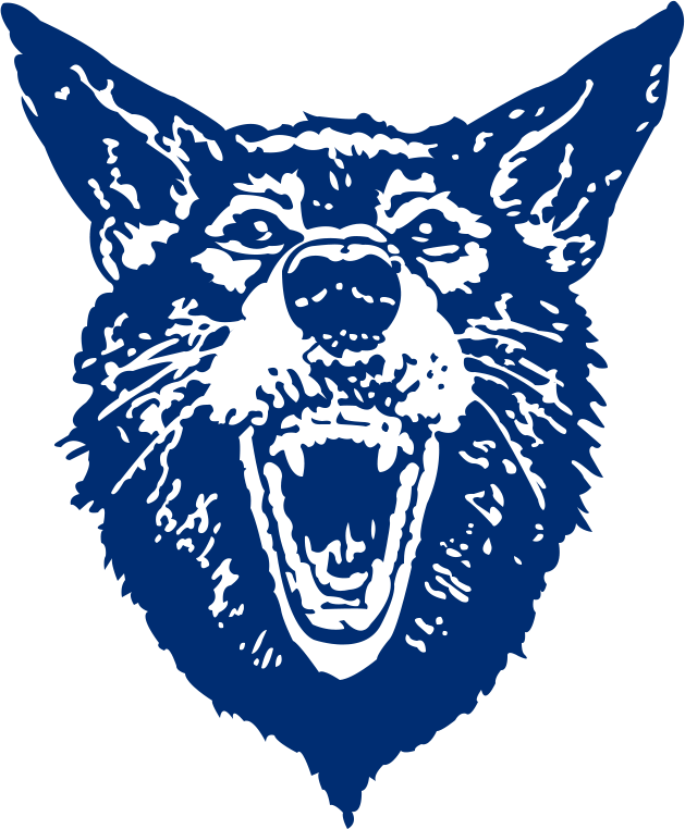 Nevada Wolf Pack 1983-1985 Alternate Logo diy DTF decal sticker